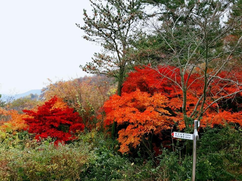 Yujeong Hanok Guesthouse Mokpo Esterno foto