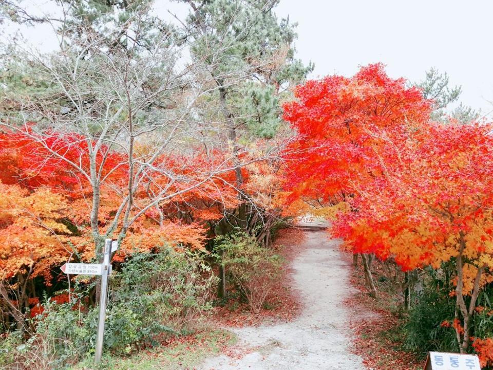 Yujeong Hanok Guesthouse Mokpo Esterno foto